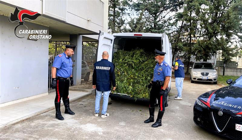 Terralba (OR): operazione “FIVE EYES” scoperta piantagione di marijuana, maxi retata: 9 persone arrestate.