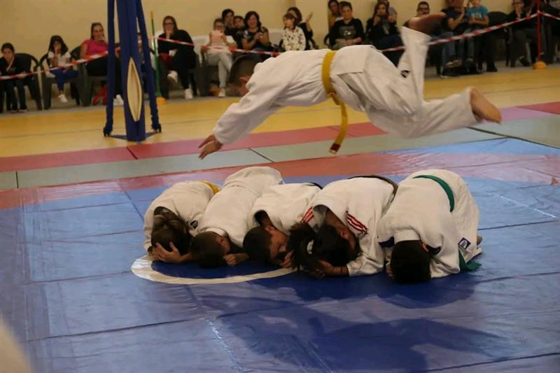Da Villagrande ai podi nazionali: la sfida della Yaoki Dojo, la palestra dove si allenano corpo e mente