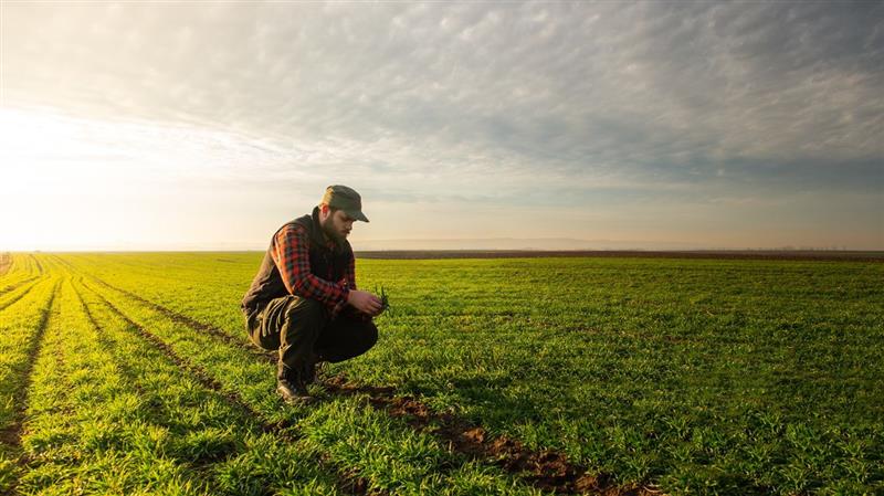 Agricoltura, pioggia di milioni: al via le domande il 31 marzo. Agus: «Investire per competere»