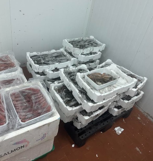 Sant’Antioco, il mare in nero: sequestrati 1.700 chili di pesce fantasma. Ma il bottino finisce in beneficenza alla Caritas