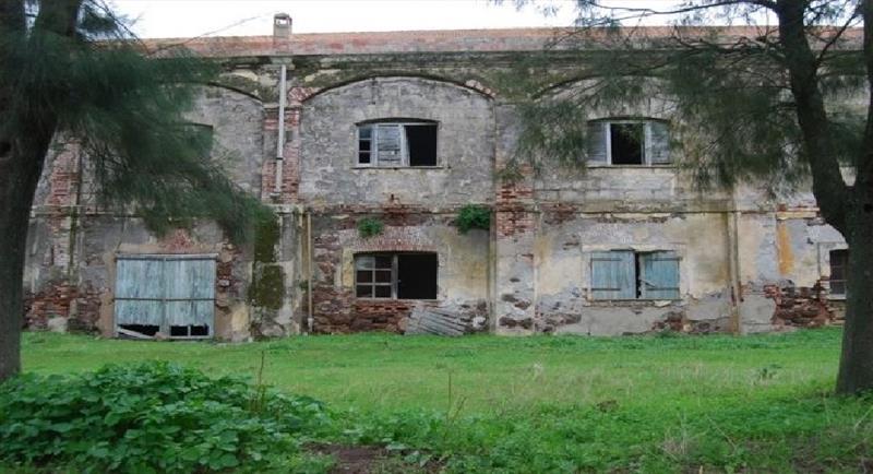Alghero: 70 ettari di oliveti regionali abbandonati, l’allarme del centro studi agricoli