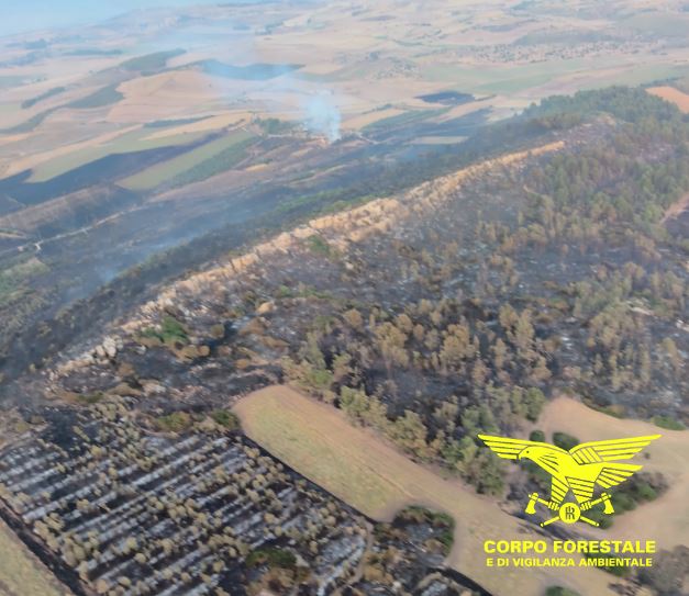Incendi a Bonorva e Guasila, ancora al lavoro le squadre del Corpo Forestale