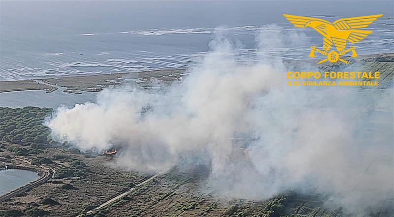 Terralba, arrestato piromane seriale: cinque incendi nella pineta tra Terralba e Arborea