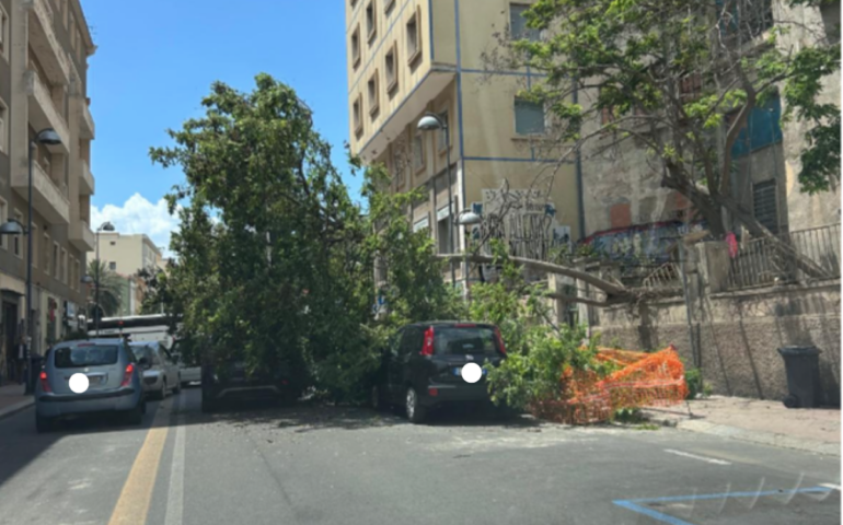 Cagliari: albero crolla su auto in sosta in via Paoli, danni ingenti