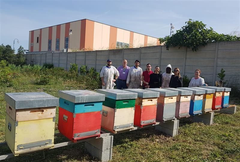 A Quartucciu completato il progetto di E-Distribuzione per la tutela delle api e degli insetti impollinatori