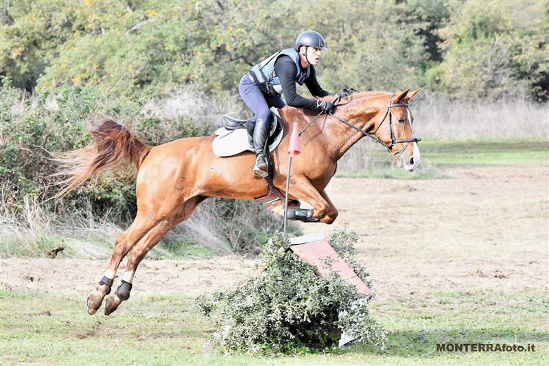 Equitazione: a Tanca Regia Luigi Iriu si prende il titolo regionale del Completo