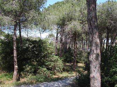 La grande manovra degli Usi Civici: il Comune blinda Maria Pia, ma il centro storico diventa privatizzabile?