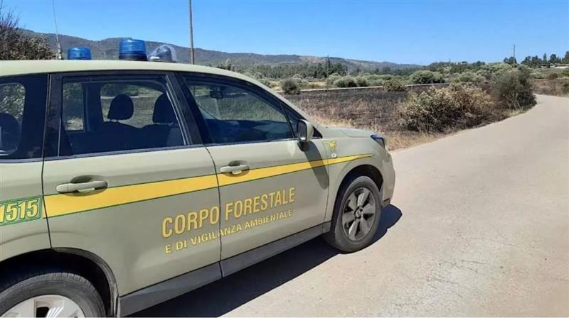 Bracconaggio a Ulassai, due denunciati dalla Forestale: sequestrati fucile, lacci e selvaggina