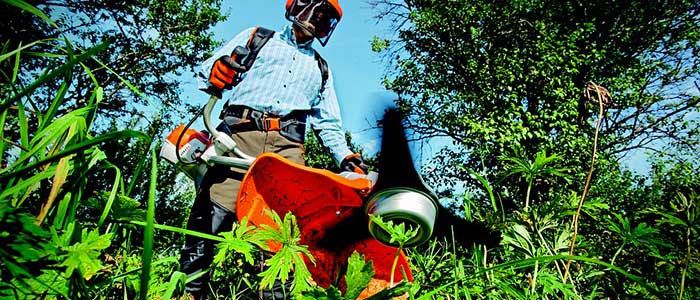 Crescono le imprese che si prendono cura del verde e del paesaggio