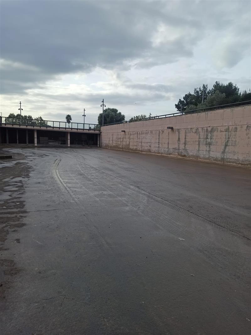 Palazzo dei Congressi, il "caso plastica" dalle denunce allo sgombero. Cronaca di uno scontro tra veleni e Var