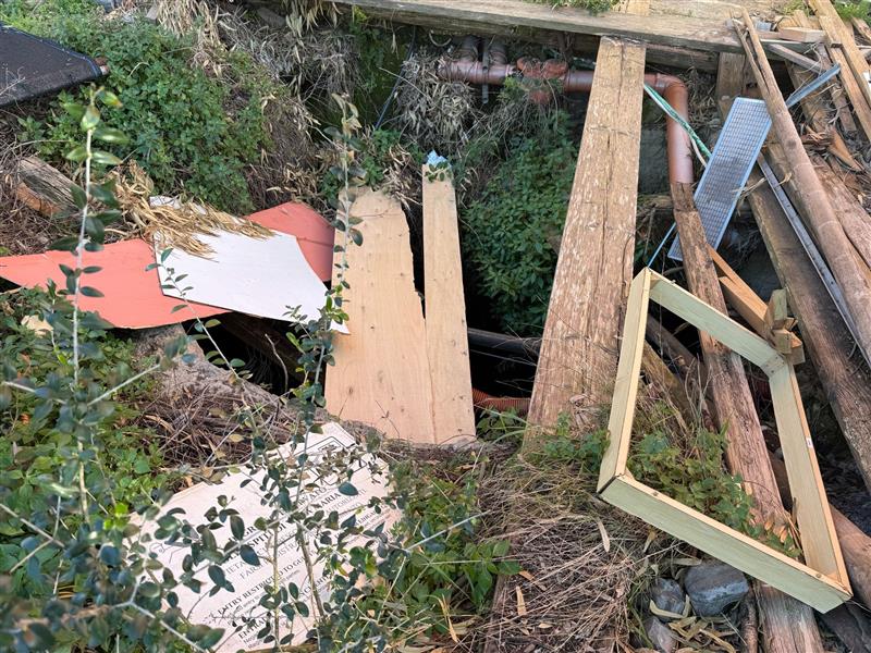 Villa Maria Pia tra voragini e rifiuti: Forza Italia denuncia il degrado nella "casa" del Consiglio comunale