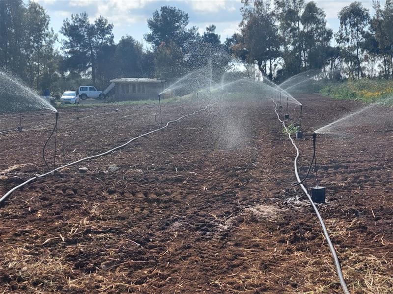 Siccità nella Nurra, acqua razionata e colture vietate: il Centro Studi Agricoli denuncia l’abbandono degli agricoltori da parte della Regione