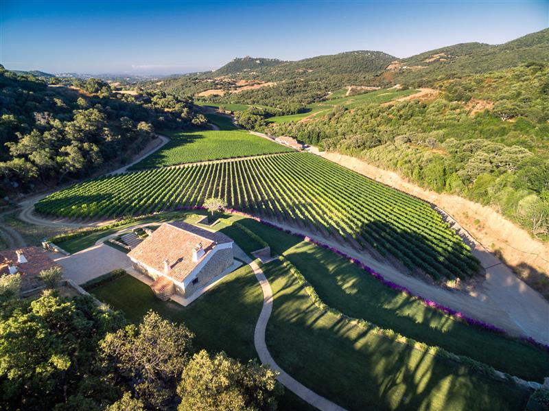 Siddùra scrive la storia del vino italiano: tre medaglie di platino al Decanter World Wine Awards 2025
