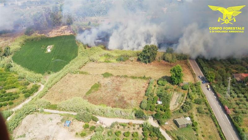 Sardegna in fiamme: tre fronti attivi tra Pattada, Tortolì e Jerzu, in campo anche i Canadair