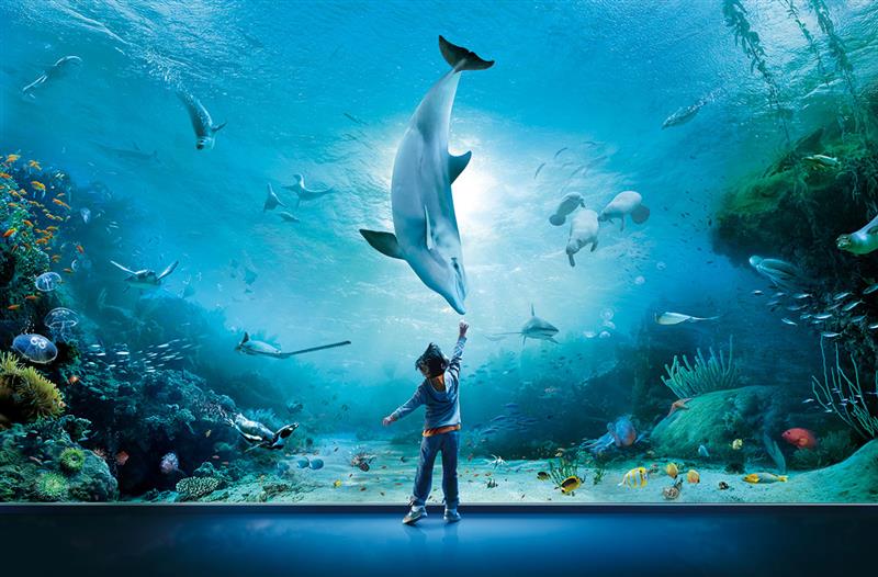 Acquario di Genova, Italia