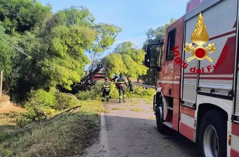 Pioggia e disagi in Sardegna: incidenti e alberi crollati