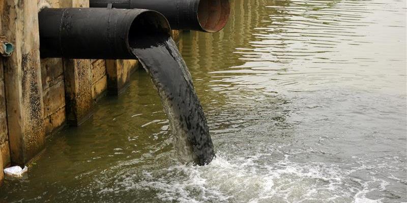 Fanghi a Magomadas: che non sia una caccia alla streghe - Intervento del GriG