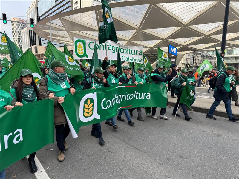 Tagli alla PAC, a Bruxelles anche la Sardegna: Confagricoltura porta la voce delle campagne dell’Isola
