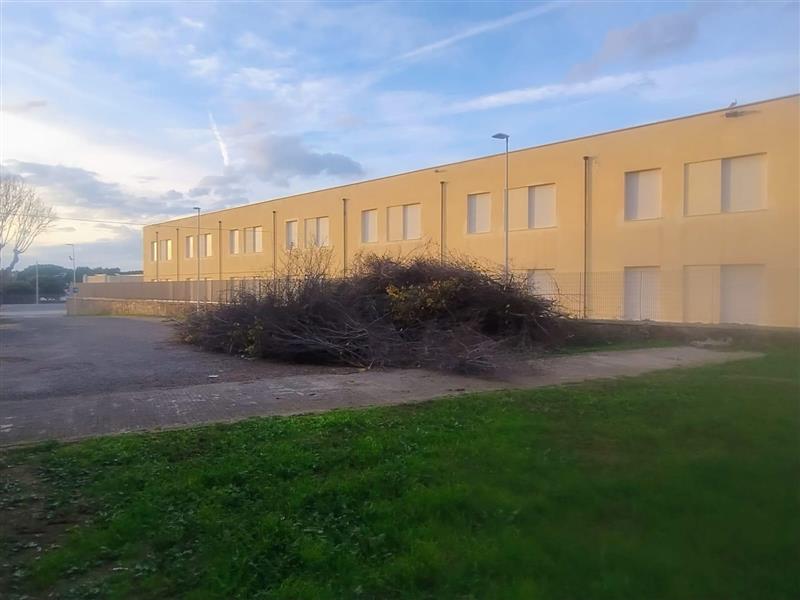 Alghero: Via la plastica, avanti le frasche. Forza Italia denuncia: "Discarica abusiva davanti alla scuola, studenti a rischio topi"