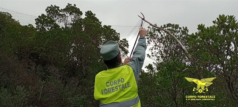 Reti invisibili e trappole a scatto nel Sulcis: la Forestale salva rapaci protetti e blocca un bracconiere a Giba