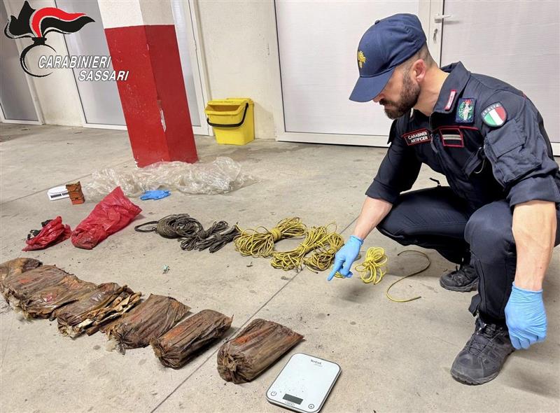 Esplosivo abbandonato tra le sterpaglie: a Telti gli artificieri bonificano le campagne