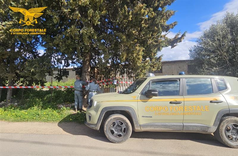 Fumo tossico e roghi abusivi nelle campagne di Maracalagonis: la Forestale sequestra un terreno e un autocarro