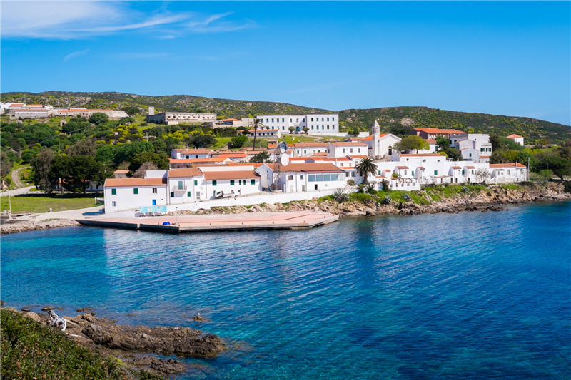 Asinara, nasce il Consorzio Operatori: “Basta favole, da oggi una voce unita per rispetto, ascolto e verità”