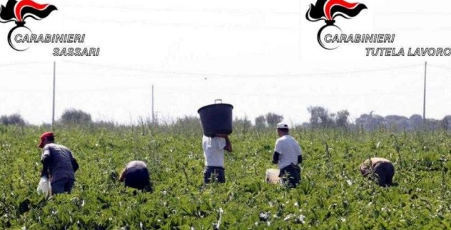 Favoreggiamento dell’immigrazione clandestina e violazioni sulla sicurezza nei campi: due indagini nel sassarese