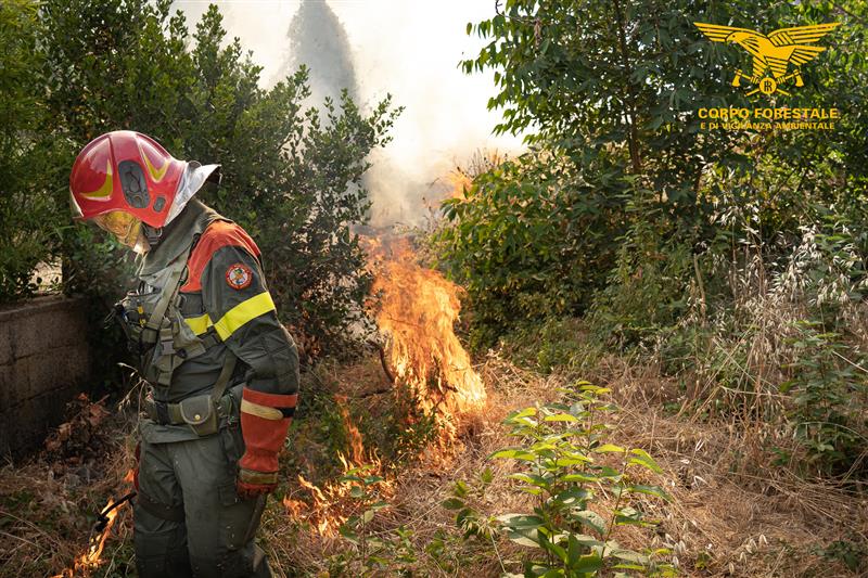 Fiamme in tutta l’Isola: otto incendi in Sardegna, tre richiedono l’intervento aereo. Bruciano pascoli e campi tra Bonorva, Giave, Tortolì e Ortacesus