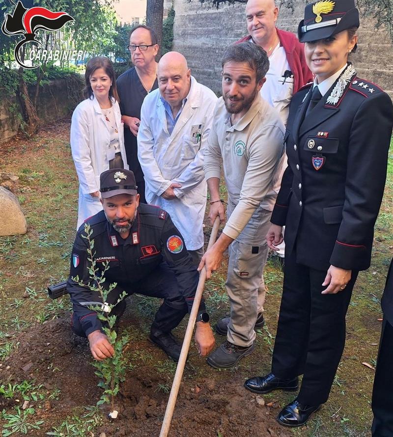 Tempio Pausania (SS): "un albero per la salute" donato dal reparto carabinieri biodiversità di Siena all