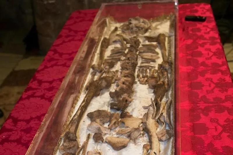 Dal 22 febbraio al 22 marzo 2026: Ostensione delle relique di San Francesco