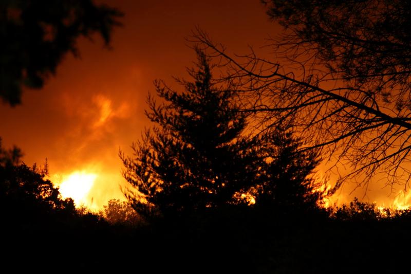 incendio pineta