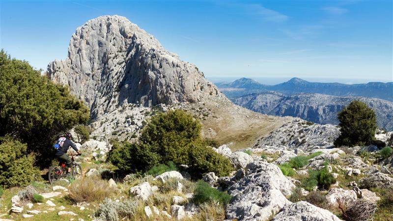 Patto per i boschi sardi: i sindaci entrano nella cabina di regia di FoReSTAS