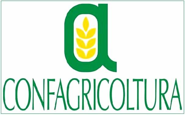 Dazi Usa, Confagricoltura: colpiti pecorino romano e vini sardi. «Comparti solidi, ma il governo intervenga in Ue»