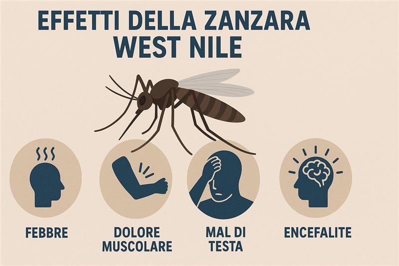 Sardegna, salgono a 31 i casi di West Nile: due i decessi nell’Oristanese