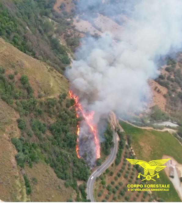 Domenica di fuoco in Sardegna: 18 incendi, elicotteri in volo e pascoli in fiamme