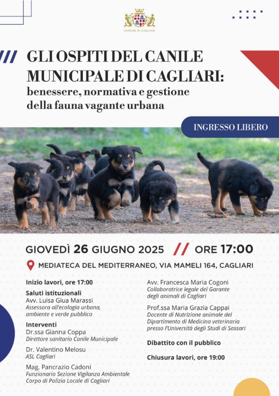 Cagliari, 26 giugno: alla MEM si discute di fauna urbana e canile municipale. Giua Marassi: «Puntiamo sulla sensibilizzazione»