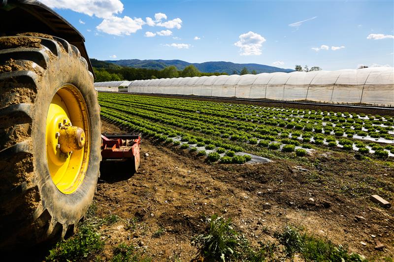Attività agricola