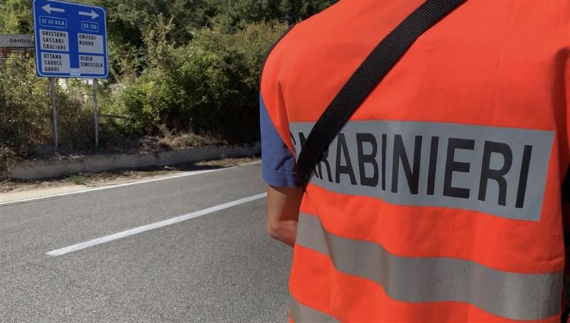 Orani, corsa clandestina a cavallo: denunciati otto giovani