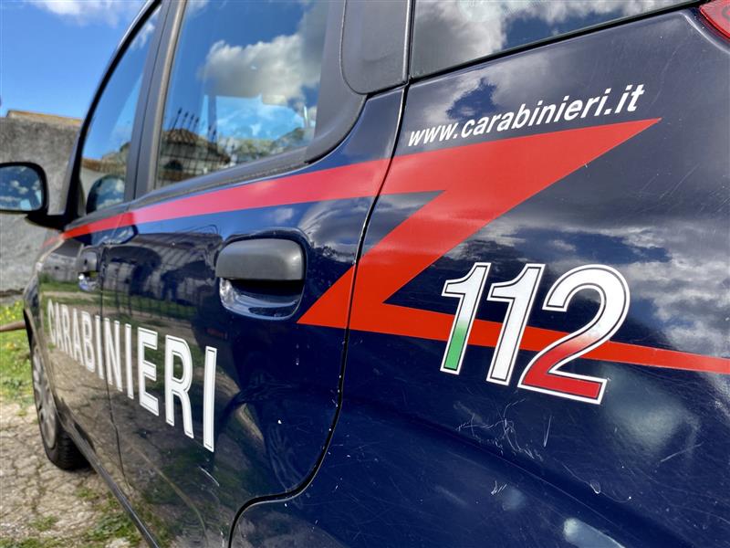 Orrore a Oliena: cane ucciso a calci nel giardino di casa, denunciato un uomo