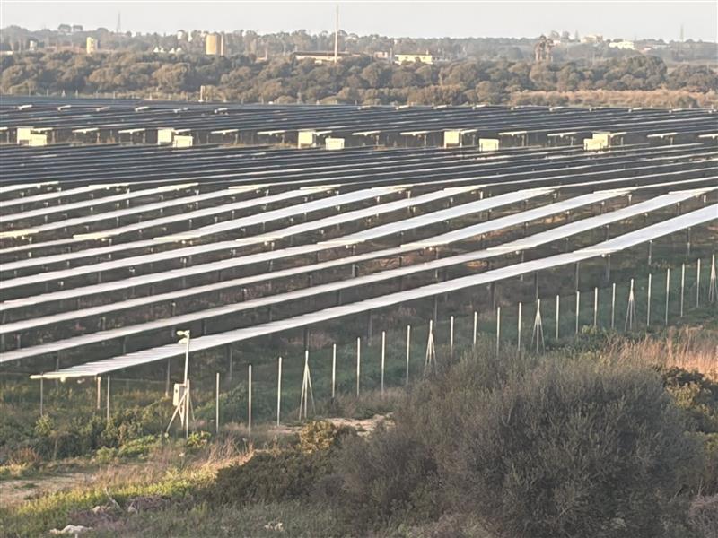 Pannelli solari al posto delle fabbriche: Piana denuncia il caso Truncu Reale