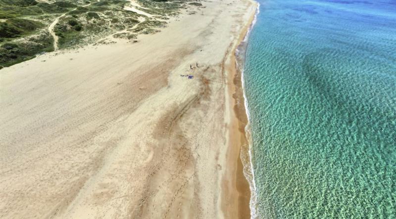 Pistis, una Caretta caretta trovata morta sulla spiaggia: si sospetta un impatto con un’imbarcazione