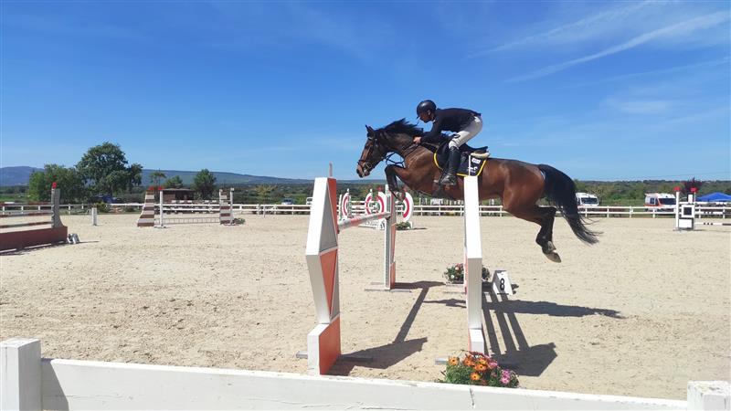 Tanca Regia si prepara alla grande sfida del salto ostacoli: 240 binomi in gara per la seconda tappa del Trofeo Asvi