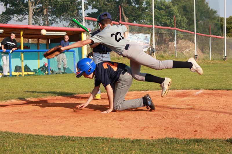 Tigri baseball