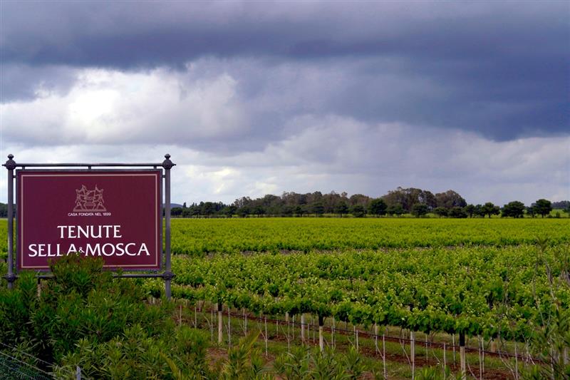 La Sella & Mosca è stata venduta al Gruppo Terra Moretti