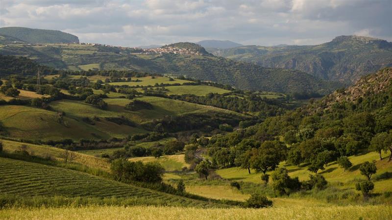 Vertice a Cagliari per riorganizzare le divise delle campagne: la Regione convoca le compagnie barracellari