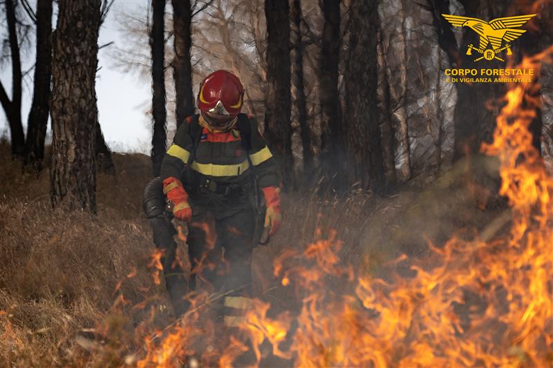 Incendi in Sardegna, il fuoco torna a minacciare il territorio: 22 roghi in un solo giorno, elicotteri e Canadair in azione