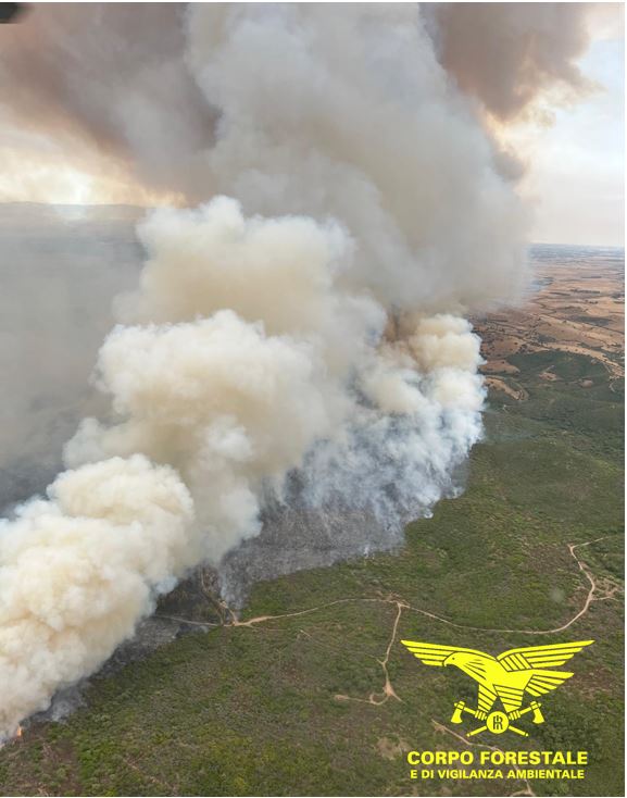 Incendi del 25 luglio, giornata critica in Sardegna: 29 roghi e sette fronti con mezzi aerei in azione