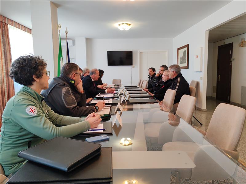 Paulilatino, branco di cani randagi fa strage di pecore: scatta il piano di cattura