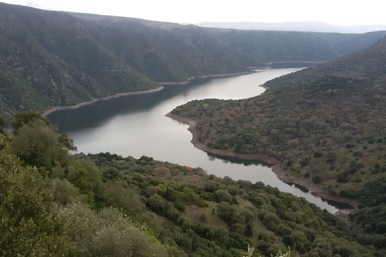 Sollievo per le campagne del Sud Sardegna: Acque del Tirso al Flumendosa
